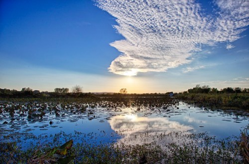 A serene landscape featuring a reflective pond, lush greenery, and a dramatic sky with clouds at sunset.