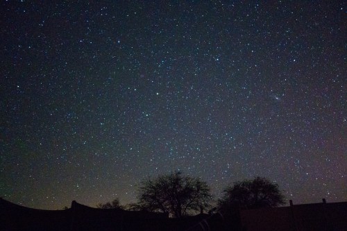 A starry night sky filled with countless stars, with silhouettes of trees and a faint horizon in the background.