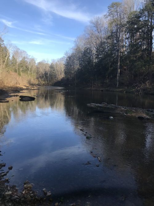 A serene river scene surrounded by trees, reflecting the sky and landscape on calm water.