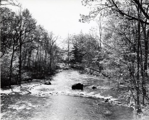A black and white photo of a serene river flowing through a wooded area with trees lining the banks.