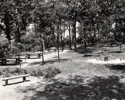 A black and white photo of a wooded park with benches, pathways, and a stone fire pit surrounded by trees.