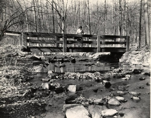 A black and white photo of a wooden bridge over a rocky stream, surrounded by bare trees in a forested area.