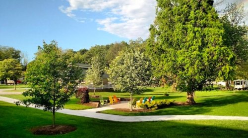 A sunny park scene featuring green trees, colorful benches, and a winding pathway surrounded by lush grass.