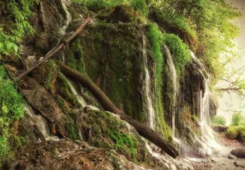 A serene waterfall cascading over moss-covered rocks, surrounded by lush greenery and trees.