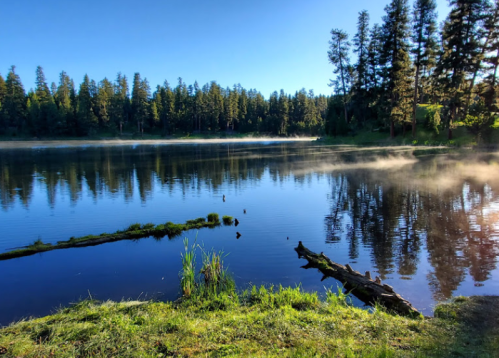 A serene lake surrounded by trees, with mist rising from the water and a clear blue sky above.