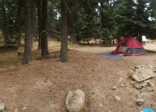 A red and gray tent set up in a forest clearing surrounded by tall trees and rocky ground.
