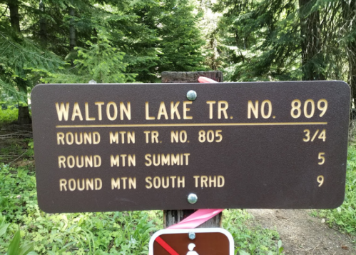 Trail sign indicating directions and distances to Walton Lake Trail No. 809, Round Mountain Trail No. 805, and Round Mountain Summit.