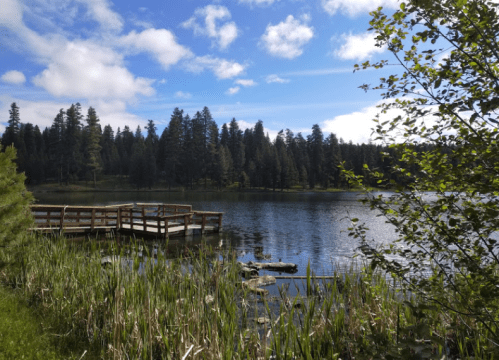 A serene lake surrounded by trees, with a wooden dock and lush greenery in the foreground under a partly cloudy sky.