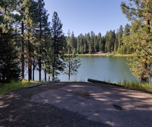 A serene lake surrounded by tall pine trees under a clear blue sky, with a gravel path leading to the water's edge.