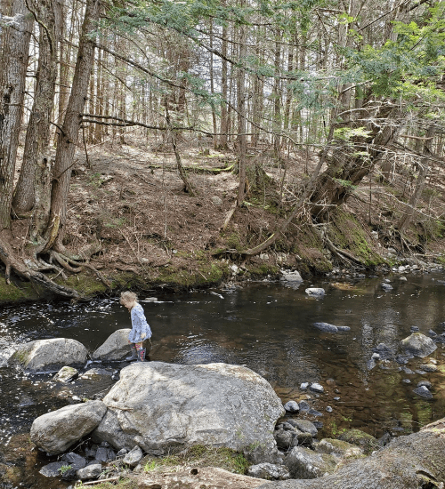 A child stands on a rock in a serene stream, surrounded by trees and nature.