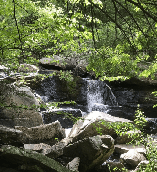 A serene waterfall cascades over rocks, surrounded by lush green foliage in a tranquil forest setting.
