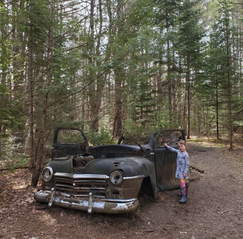 A young girl stands beside an old, rusted car in a wooded area, surrounded by tall trees and a dirt path.