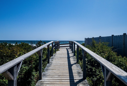 A wooden boardwalk leads to the ocean, surrounded by greenery under a clear blue sky.