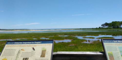 View of a serene estuary with grassy wetlands and informational signs about estuaries and salt marshes under a clear blue sky.
