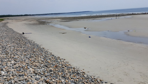 A sandy beach with scattered pebbles, gentle waves, and a few people in the distance under a cloudy sky.