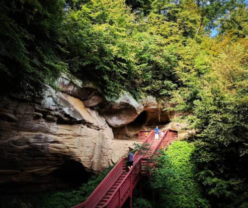 A wooden walkway leads through lush greenery and rocky cliffs, with people walking in a serene natural setting.