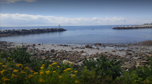A serene coastal scene with rocky shores, calm water, and yellow flowers in the foreground under a blue sky.