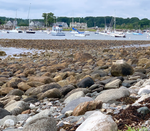 A rocky shoreline with boats anchored in the background and houses along the water's edge under a cloudy sky.