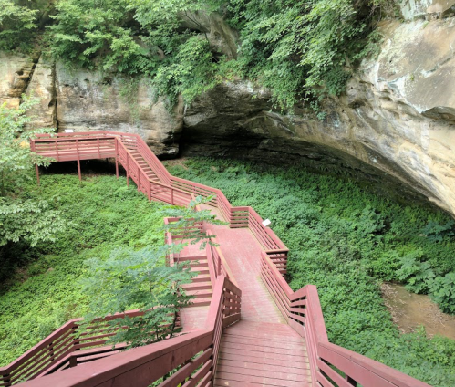 A winding wooden walkway leads through lush greenery and rock formations in a natural setting.