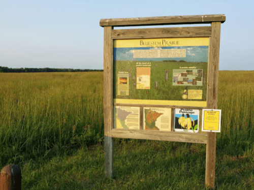 Information sign about Bluestem Prairie in a grassy field under a clear sky.