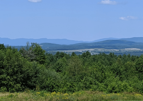 A scenic view of rolling green hills and distant mountains under a clear blue sky.