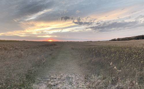 A serene landscape at sunset, featuring a path through tall grass fields under a colorful sky.