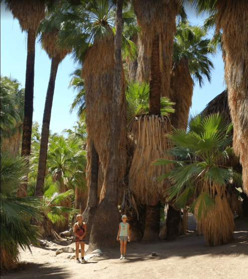 Two children stand among tall palm trees in a lush, green oasis under a clear blue sky.