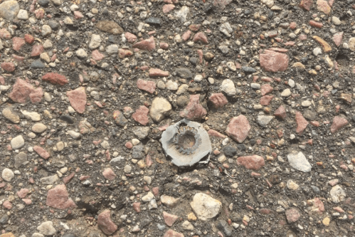 A small, circular piece of gray stone with a textured center, surrounded by a variety of pebbles on a gravel surface.