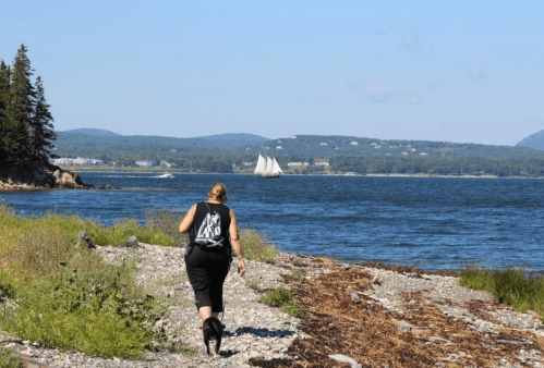 A person walks along a rocky shoreline with a sailboat in the distance and trees lining the coast.