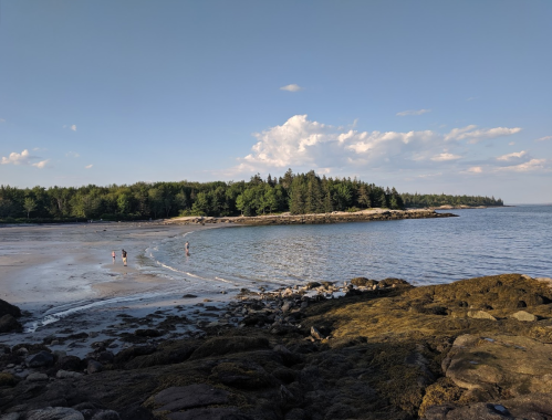 A serene beach scene with people walking along the shore, surrounded by trees and a calm sea under a clear sky.
