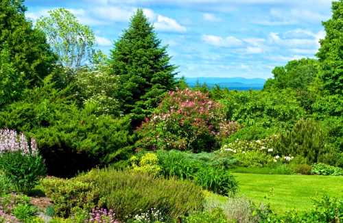 Lush garden with colorful flowers, green shrubs, and trees under a blue sky with fluffy clouds in the background.