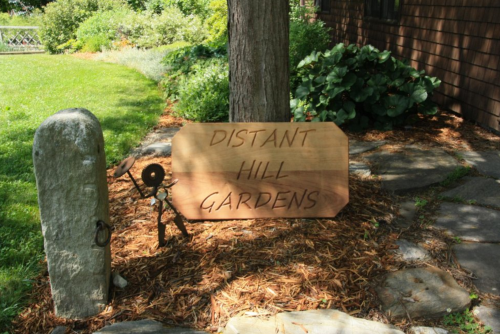 Wooden sign reading "Distant Hill Gardens" beside a stone marker in a landscaped garden area.
