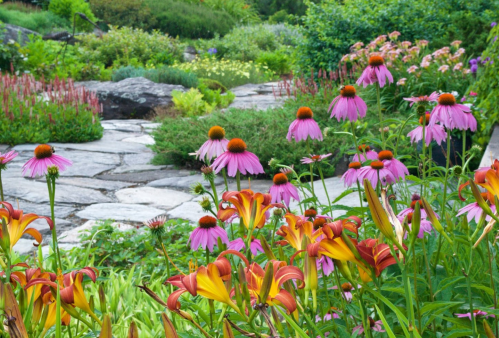 A vibrant garden filled with pink coneflowers and orange lilies, surrounded by lush greenery and stone pathways.