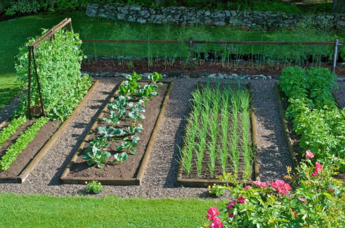 Aerial view of a garden with neatly arranged vegetable beds, including greens, broccoli, and onions, surrounded by greenery.