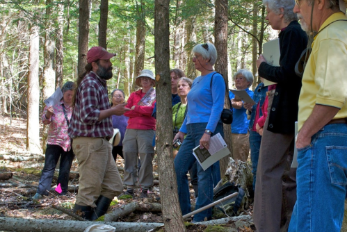 A group of people listens to a man speaking in a forest, surrounded by trees and nature.
