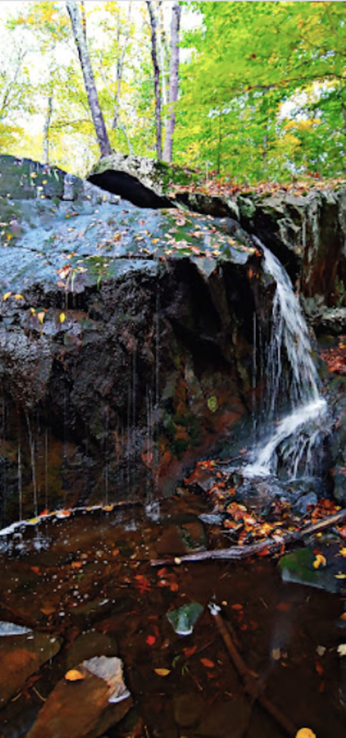 A serene waterfall cascades over rocks into a calm pool, surrounded by vibrant autumn foliage.