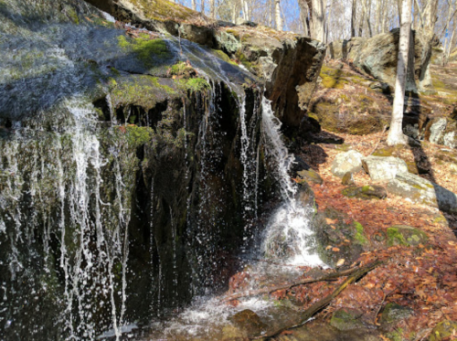 A small waterfall cascades over moss-covered rocks in a wooded area with fallen leaves and trees in the background.