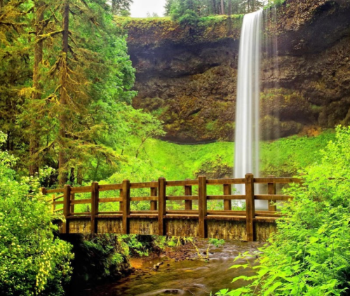 A wooden bridge crosses a stream near a lush green forest and a cascading waterfall in the background.