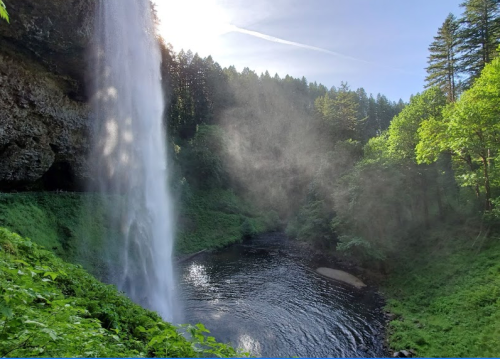 A stunning waterfall cascades into a serene pool, surrounded by lush greenery and mist in a sunlit forest.