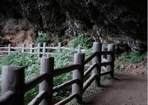 A wooden fence lines a path leading into a cave, surrounded by lush greenery and rocky walls.