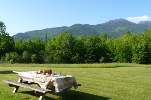 A picnic table with a colorful tablecloth set in a lush green field, surrounded by mountains and trees under a clear blue sky.
