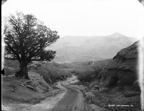 A winding dirt road leads through a rocky landscape with a solitary tree and mountains in the background.