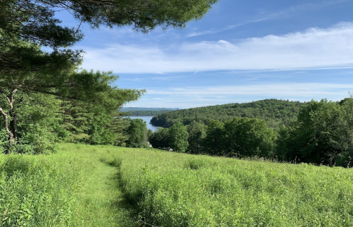 A scenic view of a lush green landscape leading to a calm lake, surrounded by rolling hills and blue sky.