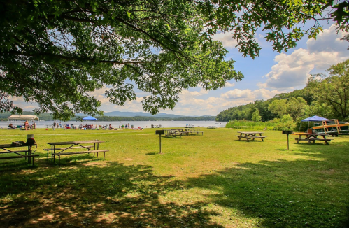 A sunny lakeside scene with picnic tables, green grass, and people enjoying the water under a blue sky with clouds.