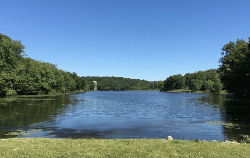A serene lake surrounded by lush greenery under a clear blue sky.