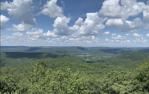 A panoramic view of lush green mountains under a bright blue sky filled with fluffy white clouds.