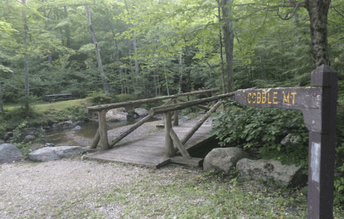 A wooden bridge over a small stream in a lush green forest, with a sign reading "Cobble Mt" nearby.