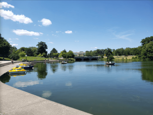A serene lake with paddle boats, surrounded by greenery and a clear blue sky, with people enjoying the area.