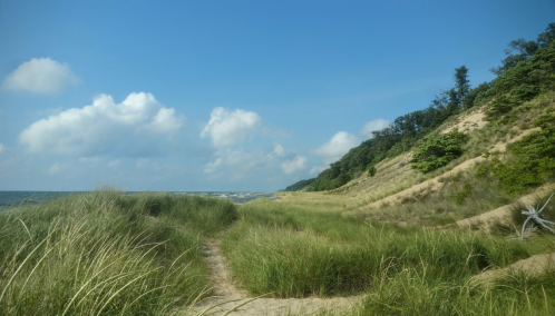 A sandy path through tall grass leads to a beach under a blue sky with fluffy clouds and a distant shoreline.