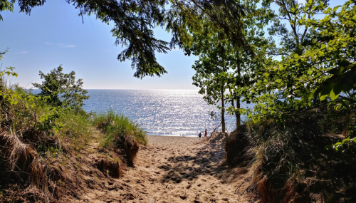 A sandy path leads to a tranquil beach with sparkling water and trees framing the view.